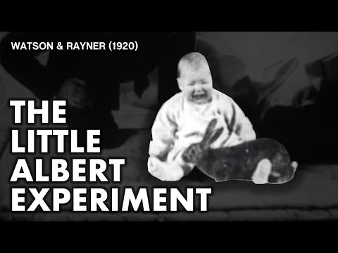 The Little Albert Experiment | Watson &amp; Rayner (1920)