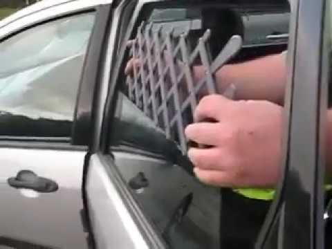 SafetyFirst Doggy Vent