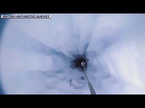 New life discovered under Antarctica ice sheet