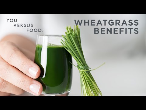 Is Wheatgrass Actually Healthy? A Dietitian Answers | You Versus Food | Well+Good