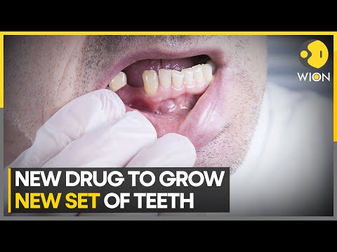 This drug could allow you to grow new teeth | Latest News | WION