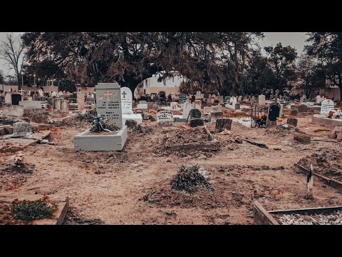 Cemetery Series: Holt Cemetery is Unlike Any Other in New Orleans