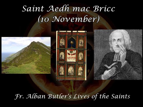 Saint Aedh mac Bricc (10 November): Butler&#039;s Lives of the Saints