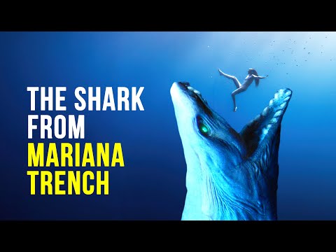 The Shark Scarier Than Megalodon From Mariana Trench