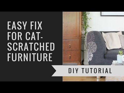 How to repair cat-scratched furniture using doilies! | Heather&#039;s Space
