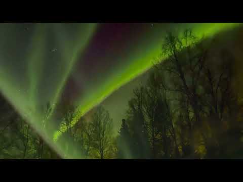 Auroras (with music by Mathew Burtner)