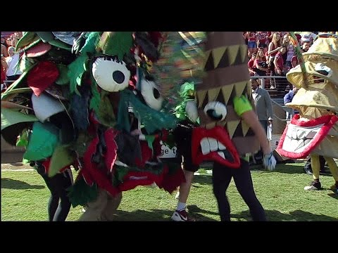 Stanford&#039;s Tree brings unique flavor to sidelines on The Farm