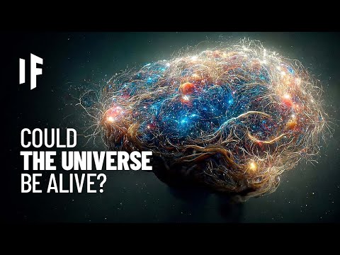 What If the Universe Is Conscious?