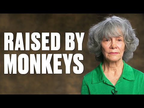 I Lived With Monkeys In The Jungle | Minutes With | @ladbiblestories