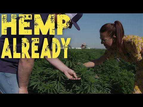 Making Hemp Paper with TINY e PAPER CO - HEMP ALREADY Ep 1