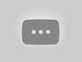 How to Speak Chimpanzee | Extraordinary Animals | BBC Earth