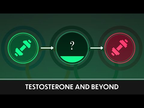 Testosterone and Beyond: The Male Advantage in Sports
