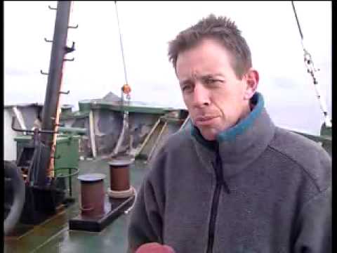 Re: Greenpeace rams whaling ship #1