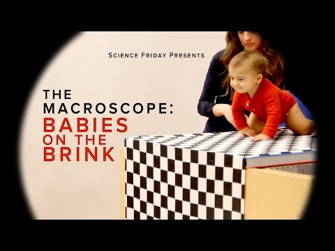 Babies on the Brink