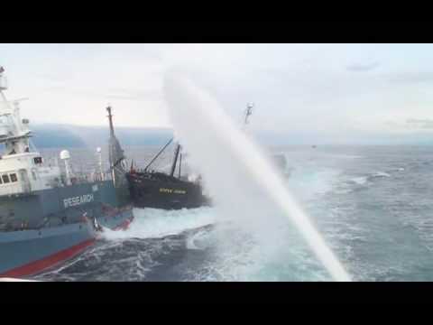 Whale Wars: Season 2 -- SSCS Rams Japanese Ship (2nd Angle)
