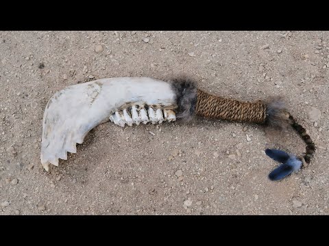 Primitive Technology: How to make the most deadly primitive jaw bone weapon