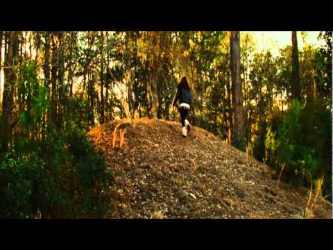 The New Daughter - Trailer