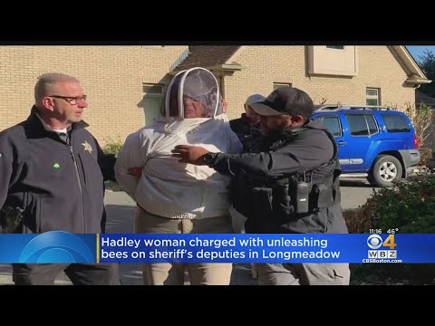 Hadley woman charged with unleashing bees on sheriff&#039;s deputies in Longmeadow
