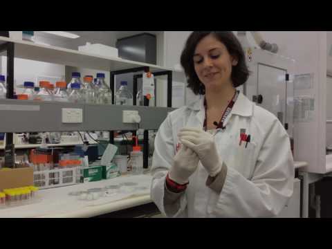 Silk on the frontier of medical science