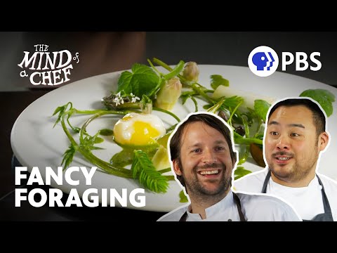 René Redzepi Leads a Foraging Food Revolution | Anthony Bourdain&#039;s The Mind of a Chef | Full Episode