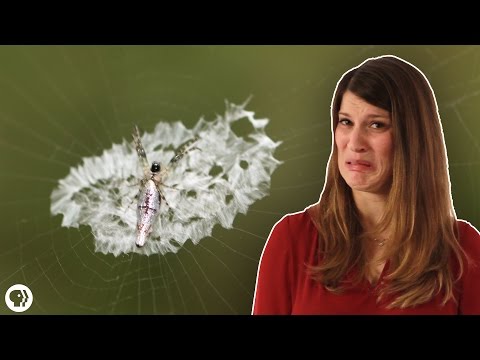 These Animals Use Poop to Protect Themselves