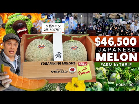 How Japanese Melons become Luxury Fruits | Yubari King Melon Story ★ ONLY in JAPAN