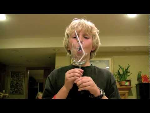 Boy Breaks Wine Glass with Voice