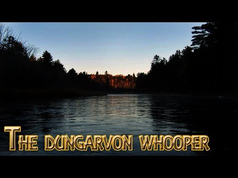 The Dungarvon Whooper | Canadian Folklore