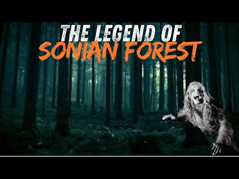 The Real Haunted Story Of Sonian Forest | Sonian Forest