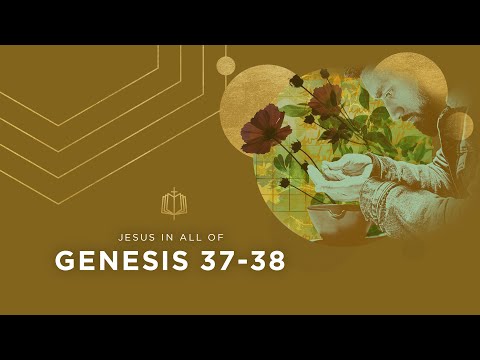 Genesis 37-38 | Joseph and Judah | Bible Study