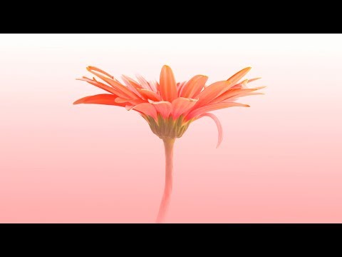 Mantra for Healing &amp; Protection from Negativity | Guru Ram Das Mantra Chants