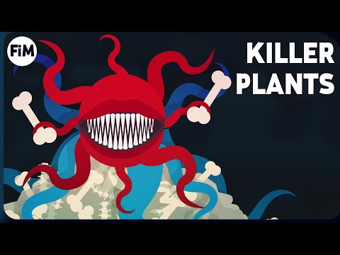 The Inner Workings of the Venus Flytrap explained