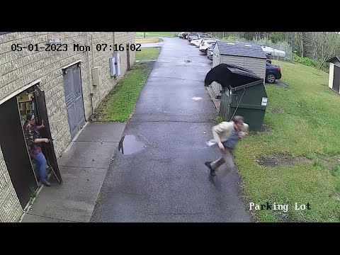 Bear in school dumpster gives principal a roaring wake-up call in West Virginia