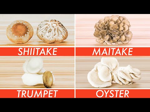 Trying Every Type Of Mushroom | The Big Guide | Epicurious