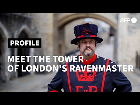God save the birds: meet the Tower of London&#039;s ravenmaster | AFP