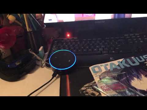 What South Park did to my Alexa
