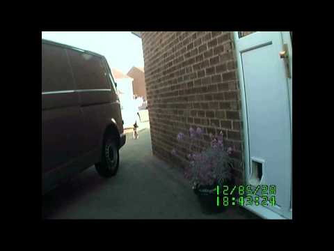 Cat Stole My Pants - funny CCTV of cat stealing items alias The Feline Felon and Denis the Menace