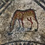 10 Wild Facts About Humans & Horses You Won't Believe