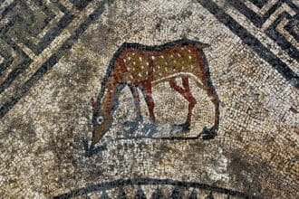 10 Wild Facts About Humans & Horses You Won't Believe