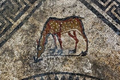 10 Wild Facts About Humans & Horses You Won't Believe