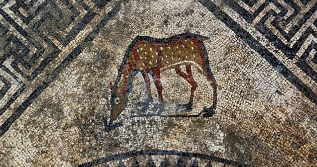 10 Wild Facts About Humans & Horses You Won't Believe