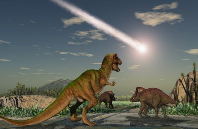 Extinction Events and Evolution