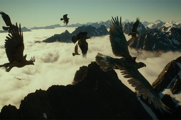 The Eagles in Lord of the Rings