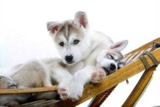 10 Surprising Government Jobs You Won't Believe Exist