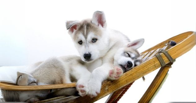 10 Surprising Government Jobs You Won't Believe Exist