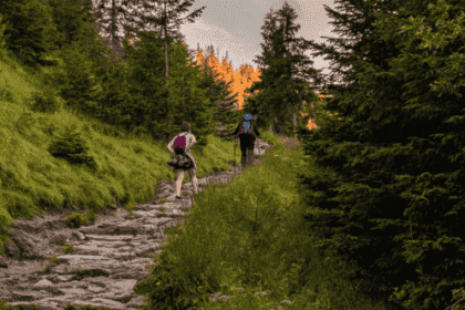 Top 10 Hiking Trails with the Most Breathtaking Views