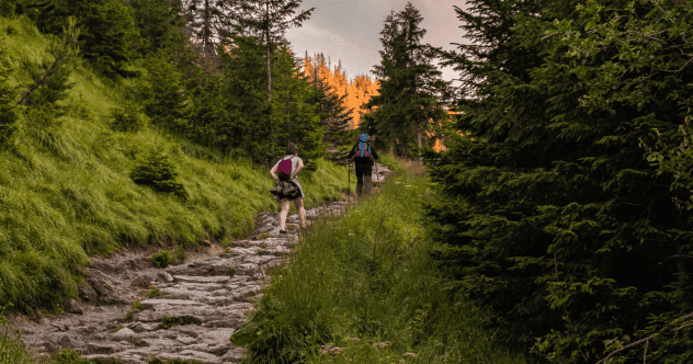 Top 10 Hiking Trails with the Most Breathtaking Views