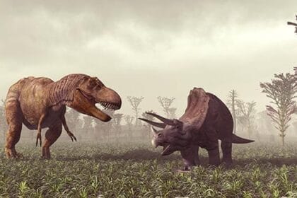 8 Resurrected Ancient Sounds That Will Amaze You