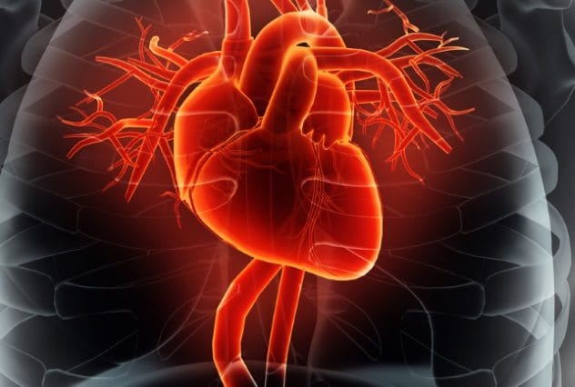 Pain in Vital Organs