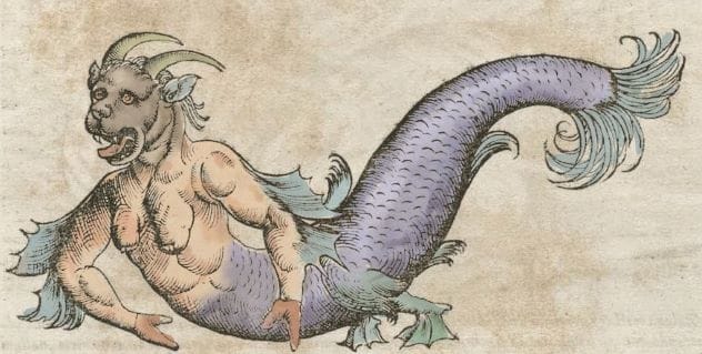 Veasta sea monster